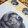Labrador Dog Card Simply Elegant Range (Close Up)